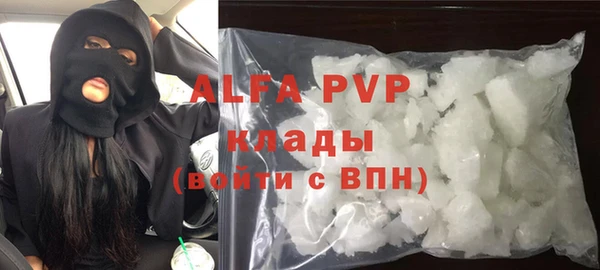 СК Алексин