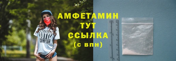 прущие грибы Алзамай