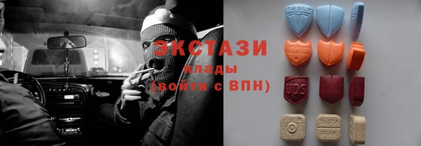 СК Алексин