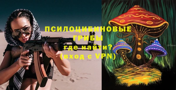 СК Алексин