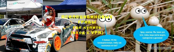 СК Алексин
