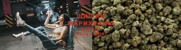 СК Алексин